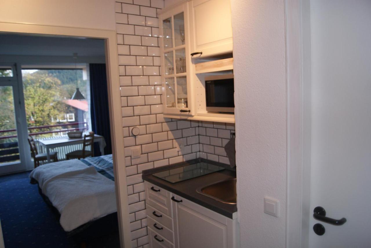 Bergblick471 Apartment Гослар Екстериор снимка